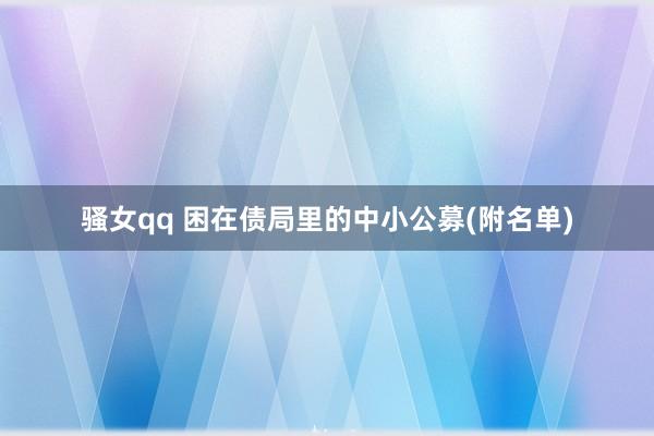 骚女qq 困在债局里的中小公募(附名单)